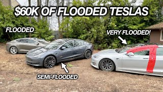 I Bought $60000 In Flooded TESLAS at Auction Lets 