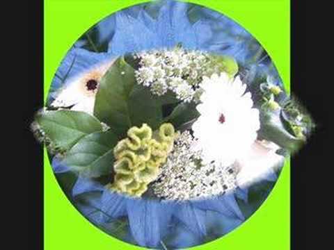 Bloemen geven rust