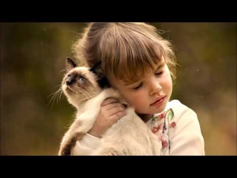 Canção Do Amor video