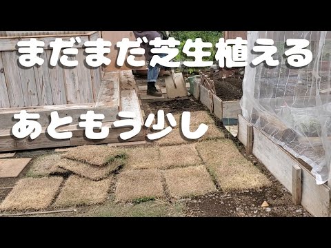 隣人からの好奇の目から守るために、どのバルコニーのプライバシースクリーンを植えるべきですか?メンテナンスなしで 7 種…またはほぼメンテナンスなし  庭園