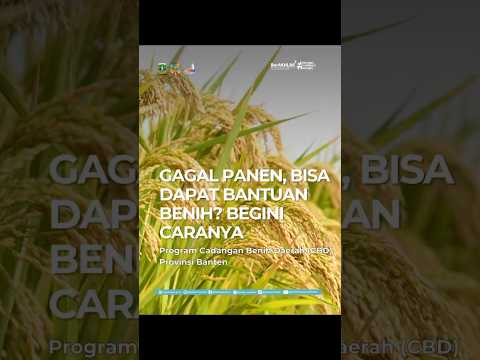 Galeri Banten