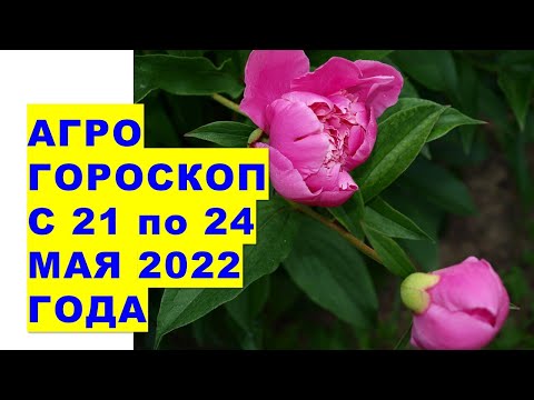 , title : 'Агрогороскоп с 21 по 24 мая 2022 года'