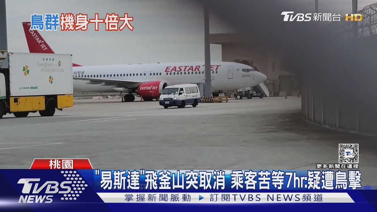 「易斯達」飛釜山突取消 乘客苦等7hr:疑遭鳥擊
