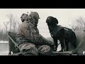 Understanding the Boykin Spaniel (A Valley Way Film)