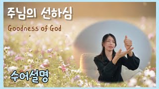 주님의 선하심 Goodness of God | 데이빗밴드 Daybeat Band  | 수어설명 | 수화설명 | 거울모드 [수어설명]