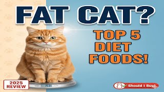 Top 5 Cat Foods That MELT Fat Off Your Cat | Best Weight Los