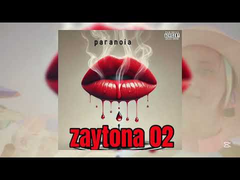PARANOIA_Zaytona2(audio official)