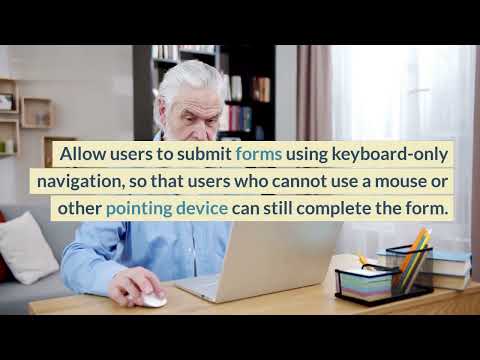 What is WCAG 2.1 guideline 3.3 Input Assistance with examples