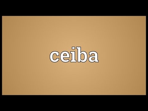 Ceiba Meaning