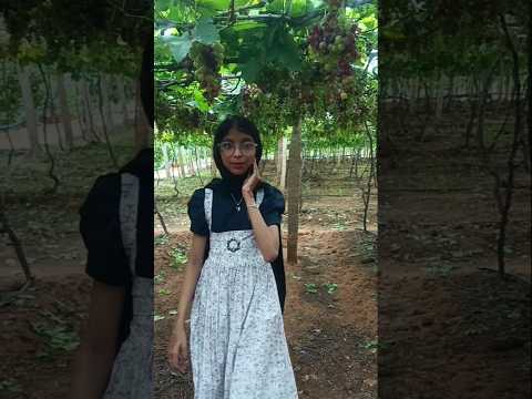 🌼 #shortvideo #nature # trending