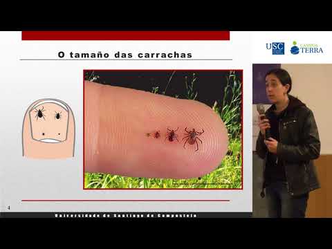 Vídeo: Dinámica poboacional das carrachas recollidas na vexetación