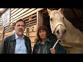 The Silver Brumby Movie Part 1