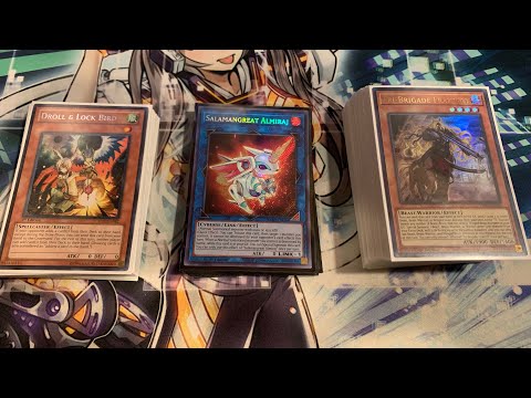 2nd PLACE WIN A BOX PURE TRI-BRIGADE DECK PROFILE