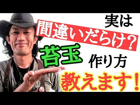 ミズゴケの育て方と目的は？なぜ持続可能な代替品を選ぶのでしょうか?  庭園