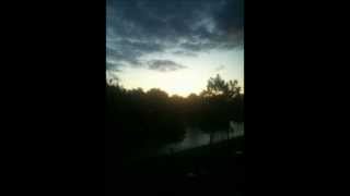 DJ Overdose - The Beat