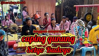 Download lagu Langgam campursari caping gunung Setyo Budoyo live jalatunda silowok mp3