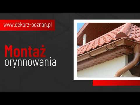 Zobacz filmy filmy
