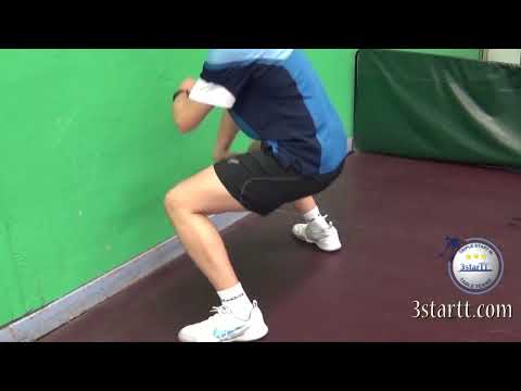 1 2 Backhand topspin tutorial   3StarTT coaching