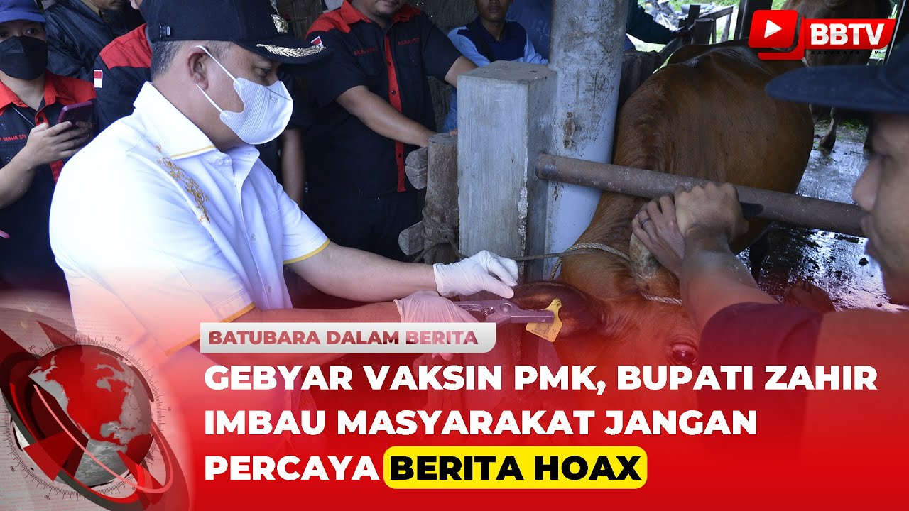 GEBYAR VAKSIN PMK, BUPATI ZAHIR IMBAU MASYARAKAT JANGAN PERCAYA BERITA HOAX