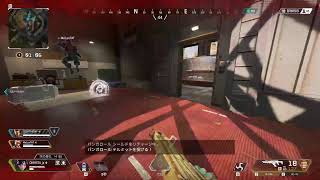 天井行くかも？