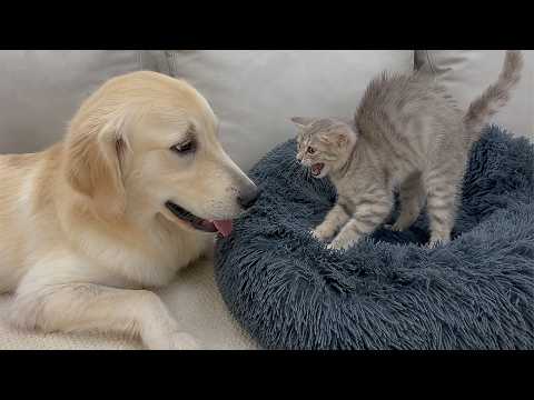 YouTube 썸네일