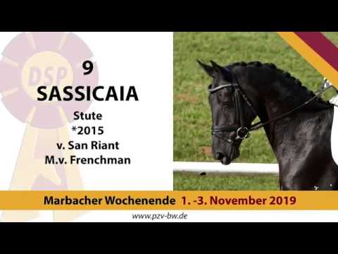 9 Sassicaia v. San Riant - Frenchman