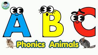 Learn the Alphabet with Desert Animals! | ABC Phonics for Kids | Funky