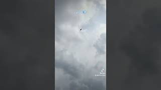 Download lagu merpati kentong surabaya || kinerja player 'CAPTAIN' #crewcaptainmorgan mp3