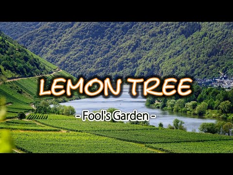 Lemon Tree - KARAOKE VERSION - as popularized by Fool's Garden