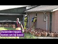 Duizenden kippen komen om bij grote brand