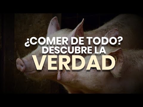 EAT EVERYTHING? THE BIBLE PROHIBITS EATING PORK - Hebrew Roots