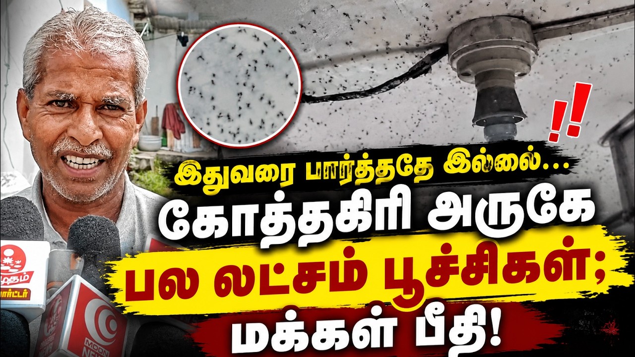 இதுவரை பார்த்ததே இல்லை... கோத்தகிரி அருகே பல லட்சம் பூச்சிகள்! மக்கள் பீதி | Kotagiri | Tamil News இதுவரை பார்த்ததே இல்லை... கோத்தகிரி அருகே பல லட்சம் பூச்சிகள்! மக்கள் பீதி | Kotagiri | Tamil News