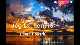 Jey Dil lenrai    (Slowed and reverb)