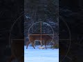 Where To Shoot A Deer With A Gun Ultimate Deer Hunting Compilation Animals Deer Hunting Tips