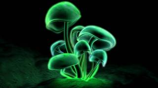 Charly Lownoise &amp; Mental Theo - Your Smile [HQ]