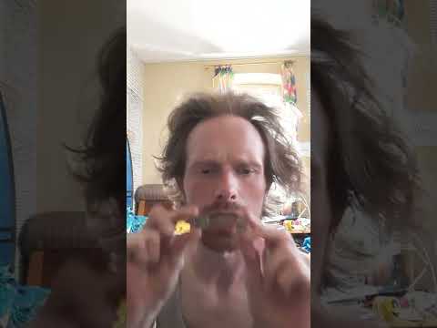 Sketch History DER FILM