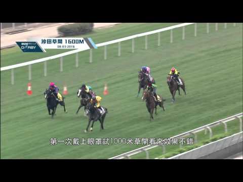[BMW Hong Kong Derby 2016] Consort takes on the Derby race with a gear change