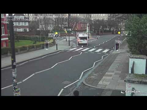 Starling Intelligence Test Using Abbey Road Pedestrian Crossing