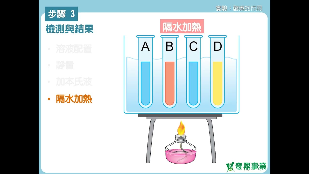 單元2：酵素的作用