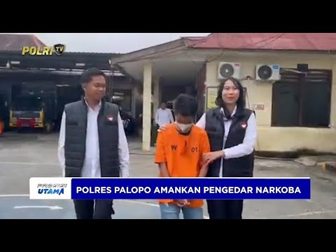 POLRES PALOPO AMANKAN PENGEDAR NARKOBA