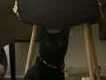 Sweet Boy This House Is Not The Same Acoustic