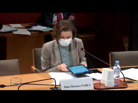 Sénat - Barkhane - Florence Parly - 20/01/2021