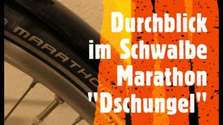 Schwalbe Marathon Reifen welches ist das  beste Modell