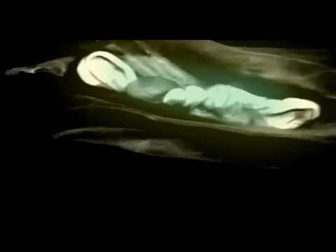 Fennesz - Rivers of sand ( Venice 2004 )