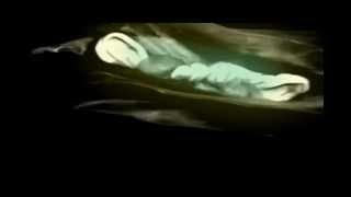 Fennesz - Rivers of sand ( Venice 2004 )