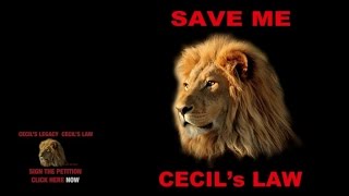 Brian May & Kerry Ellis - Born Free (Cecil's Version)