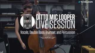 Ditto Mic Looper - Live Session with Vocals, Double Bass, Trumpet, and Percussion