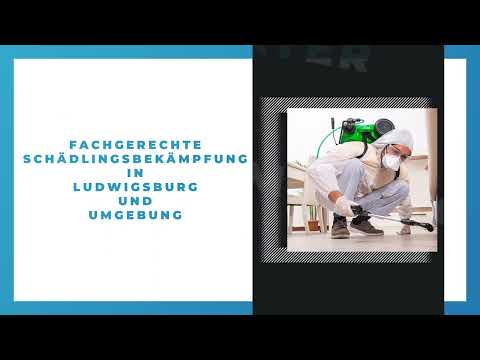 Schädlingsbekämpfungen Staudenmayer YouTube-Vdeominiatur 4
