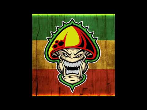 Slinks Live Jungletek Tribecore Raggatek Own Tunes Mix June