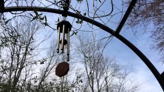 Variations on Wind Songs